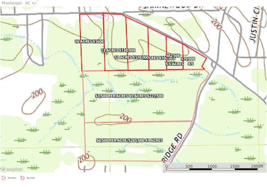 topo map photo prim