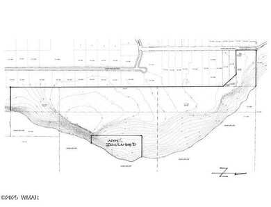 0 Show Low Lake Rd, Show Low, AZ 85901 - photo 4