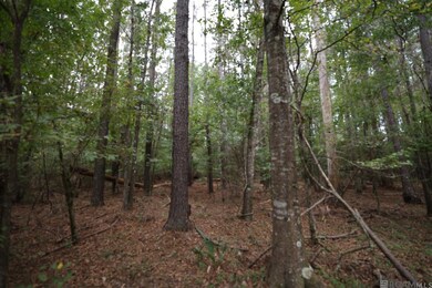 211 Fred Rogers Rd, Montgomery, LA 71454 - photo 6