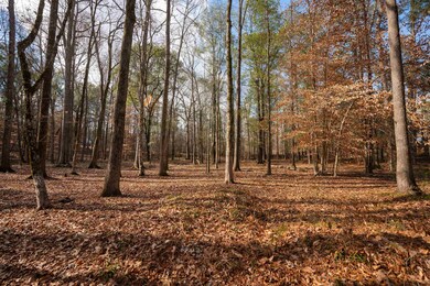 1.02 ACRES Heidi Trail, Buckhead, GA 30625 - photo 7