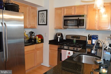 The Aurora Condominiums unit 414, Silver Spring, MD 20910 - photo 3