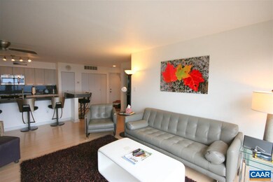 1509 Cliffs, Wintergreen Resort, VA 22967 - photo 4