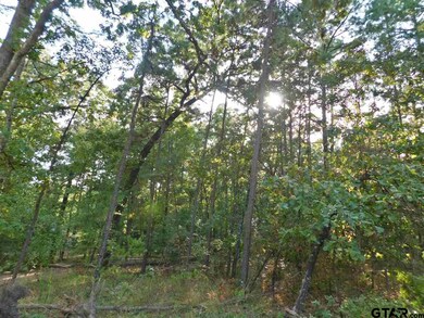 14670 Jade Forest Trail, Tyler, TX 75707 - photo 5