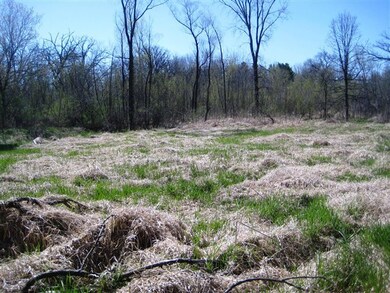 Lot 4 Gold Dr, Fitchburg, WI 53711 - photo 6