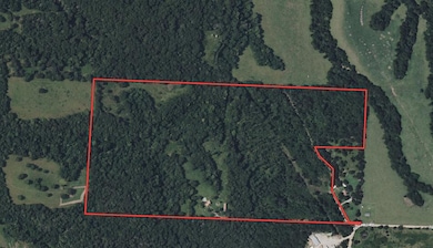 171 Togi Hill Rd, Noel, MO 64854 - photo 4