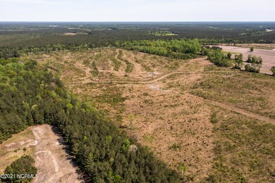 Pb 1/100 U S 117, Burgaw, NC 28425 - photo 6