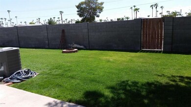 Lush Green Rear Yard