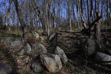 55824 County Line Rd, New Carlisle, IN 46552 - photo 7