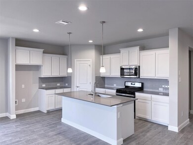 2360 Briscoe Ranch Dr, Hudson Oaks, TX 76087 - photo 2