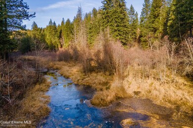 751 Kelso Lake Rd, Athol, ID 83801 - photo 6