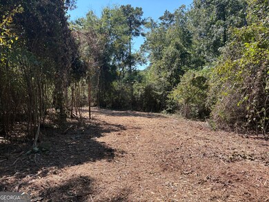 TRACTS 2-4 Old Rumble Rd, Forsyth, GA 31029 - photo 7