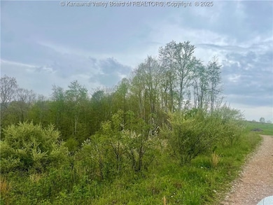 0 Siniaville Rd unit 281379, Ripley, WV 25271 - photo 3