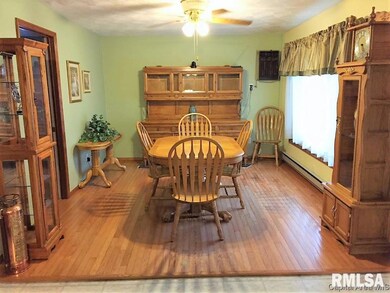 231 W Washington St, Virginia, IL 62691 - photo 4