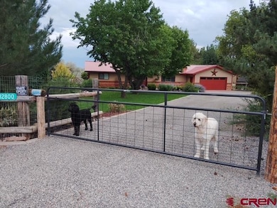 12800 Eckert Estates Rd, Eckert, CO 81418 - photo 5