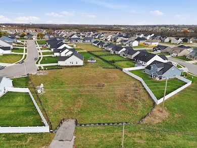 7_photo nov 11 2025, 11 16 02 am (1)