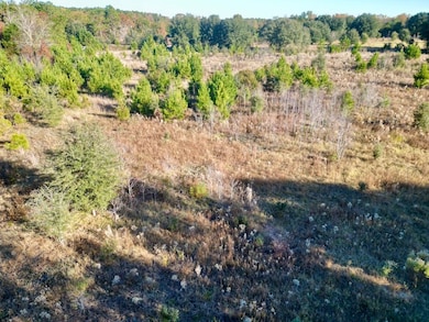 Virginia Rd unit LotWP001, Dorchester, SC 29437 - photo 7