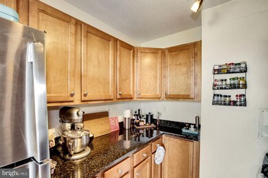 Mica Condominiums unit 1209, Silver Spring, MD 20910 - photo 3