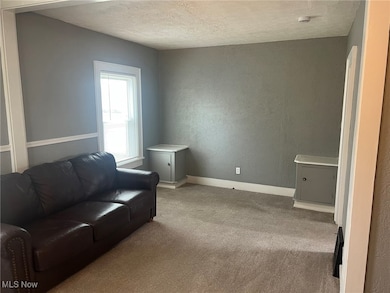 1356 Margaret Ave SW, Canton, OH 44706 - photo 6