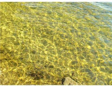 Other. Sandy bottom water