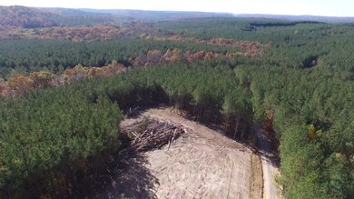 26 Ac Thomas Springs Rd, Crossville, TN 38572 - photo 4