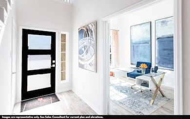 16724 Freshwater Dr, Celina, TX 75009 - photo 2