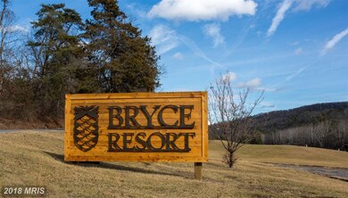 368 Sandpiper Dr, Basye, VA 22810 - photo 3