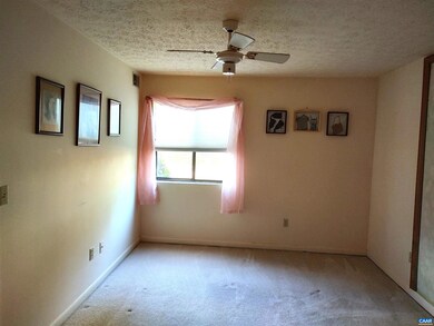 3 Turtle Creek Rd unit 3, Charlottesville, VA 22901 - photo 5