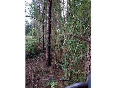 0 Chess Gerald Rd, Franklinton, LA 70438 - photo 2