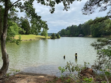 0 Davis Rd, Hamilton, GA 31811 - photo 7