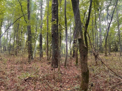 0 Lamb Rd unit 24477803, Moreland, GA 30259 - photo 4