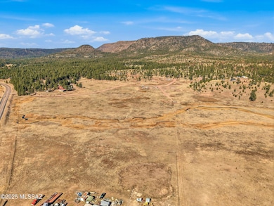 Lot 25 the Ranch at Alpine unit 25, Alpine, AZ 85920 - photo 7