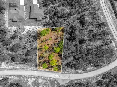 10725 N Moreno Dr, Citrus Springs, FL 34433 - photo 4