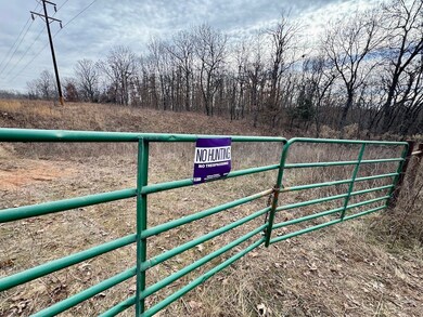 0 Tbd Raven Rd unit Lot WP001, Granby, MO 64844 - photo 6