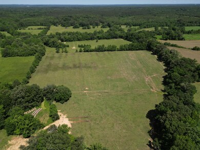 DJI_0339