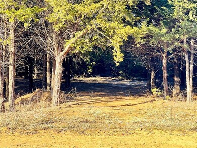 3E Forest Hills Dr, Gordonville, TX 76245 - photo 6