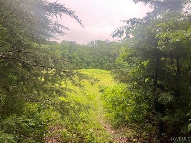 View of tree filled area