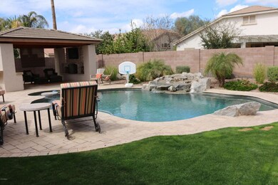 Backyard3