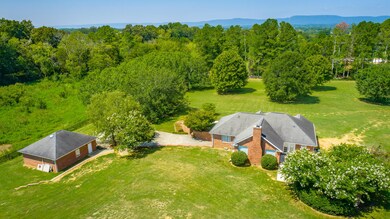 Aerial back yard