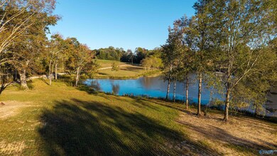 Lot 29 County Road 115, Cedar Bluff, AL 35959 - photo 5