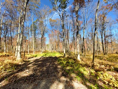 0 Tunnel Rd, Milford, PA 18337 - photo 6