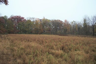 0 Dexter Chelsea Parcel H Rd unit 23086, Dexter, MI 48130 - photo 6