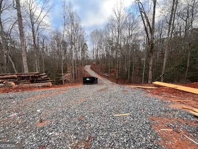 329 Twisting Ridge Trail, Demorest, GA 30535 - photo 6