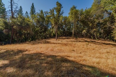 18862 American Flat Rd, Fiddletown, CA 95629 - photo 4