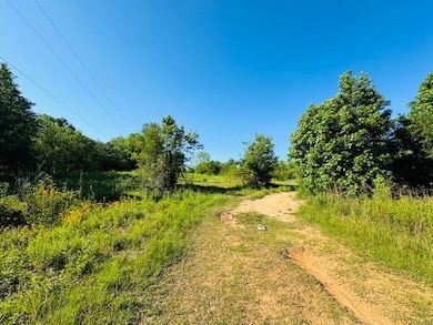 TBD Sims Thornhill Rd, Tylertown, MS 39667 - photo 2