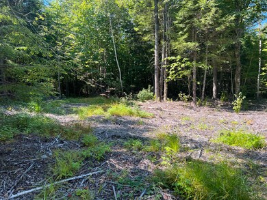 IMG-7539