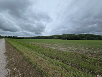 1489 E 273rd Ln, Clayton, IL 62324 - photo 6