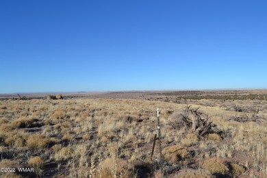 Havers Land - 8290 Willis Hill Trail 005
