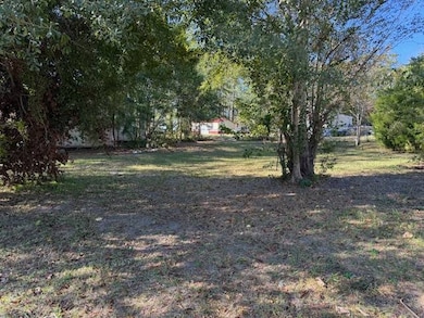 201 Packer Ave, Andalusia, AL 36420 - photo 2