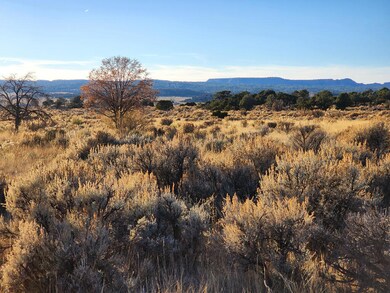 0 Banco Rd, La Jara, NM 87027 - photo 5