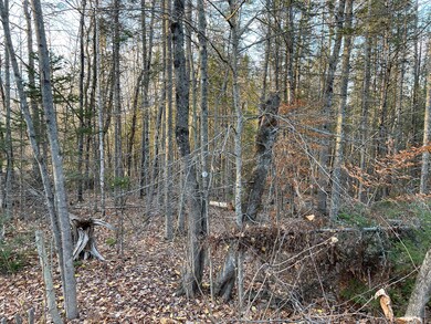 00 Arno Rd, Dexter, ME 04930 - photo 2